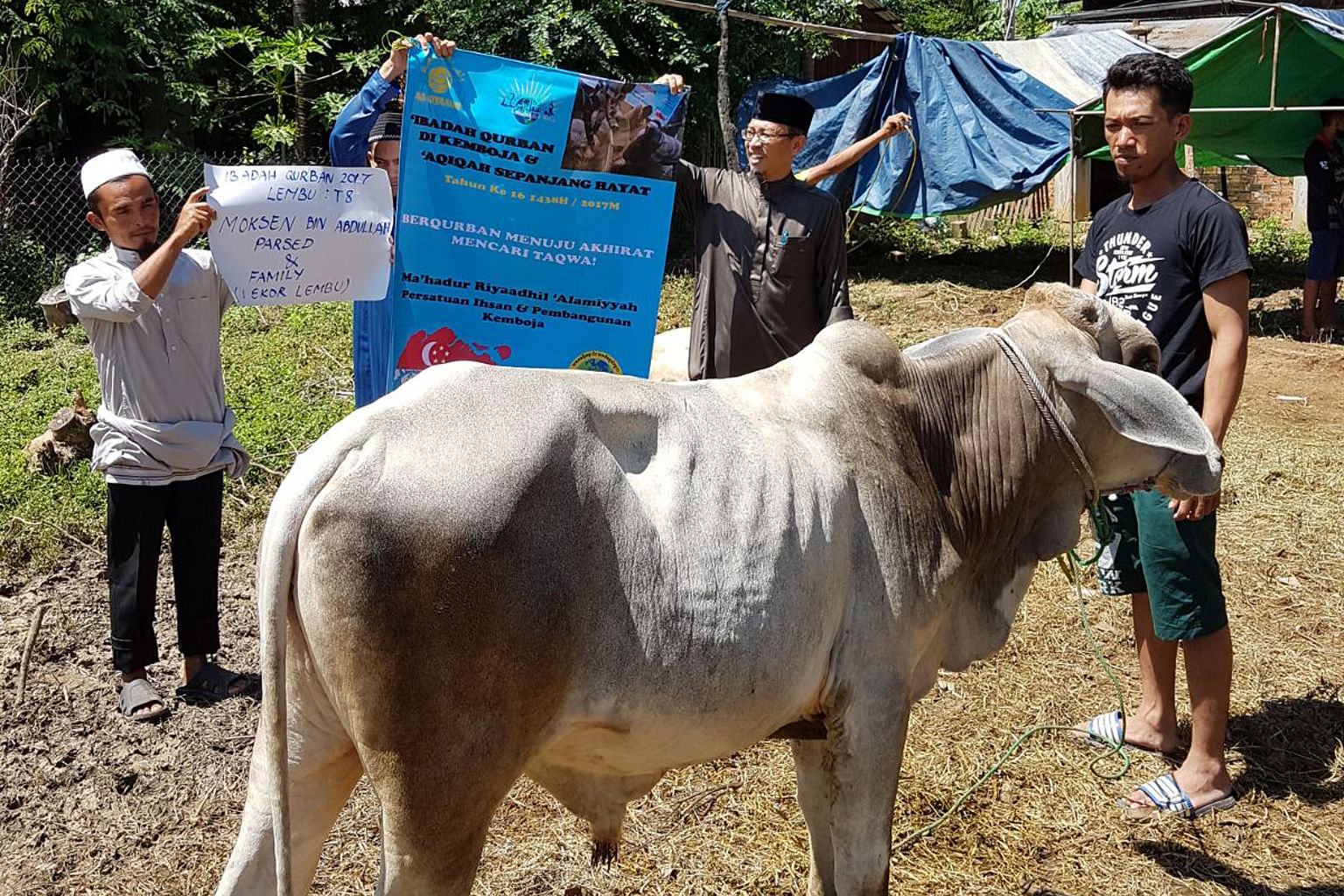 Rakyat S Pura Korban Lebih 4 000 Haiwan Di Luar Negara Berita Setempat Beritaharian Sg