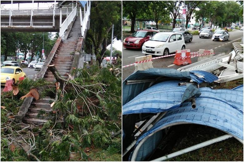 Penang, Kedah dilanda ribut kuat, Berita Dunia ...