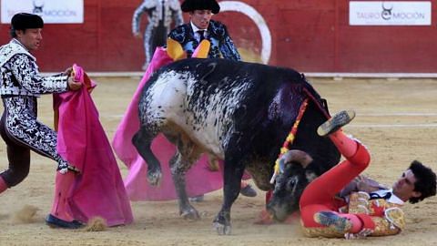 Matador terbunuh dirodok lembu