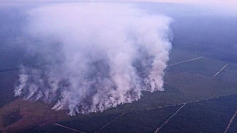 Usaha padam kebakaran hutan di Sumatera, Kalimantan diteruskan