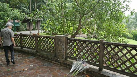 INSIDEN POKOK TEMBUSU TUMBANG Menteri: Usaha menyeluruh bagi pastikan Kebun Bunga selamat dikunjungi