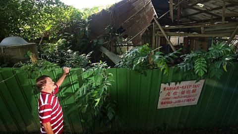 Projek pulih rumah kampung di Pulau Ubin