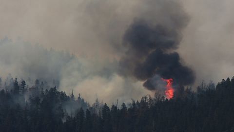 British Columbia lanjut darurat ekoran kebakaran