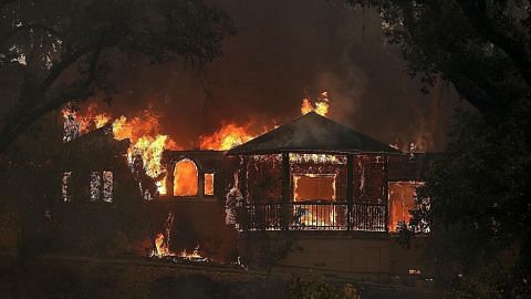 Kebakaran hutan California cetus krisis kemanusiaan