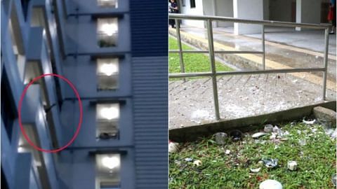 Man throw household items from flat in Marine Parade.