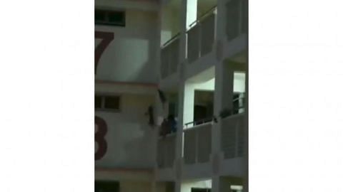 Cat falls 11 storeys and dies after rescue attempt goes wrong
