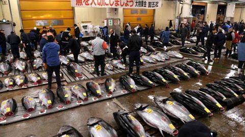 Last orders as Tokyo's Tsukiji market relocates