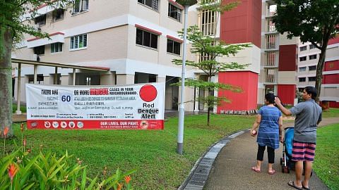 Lima kes denggi baru dilapor di Jurong West dalam tempoh tiga hari