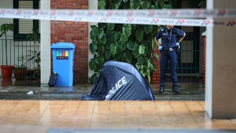 Man found dead at foot of Little India HDB block; police discover body of his mother in flat