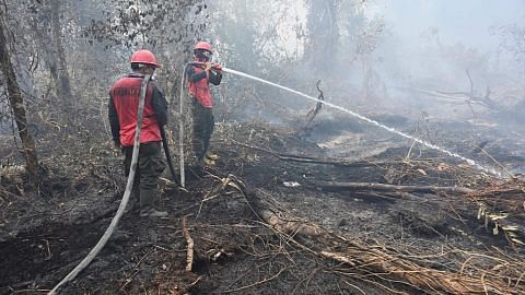 Hampir 200 diberkas di Indonesia sebabkan kebakaran, jerebu