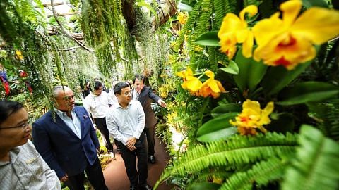 Pameran maya, orkid eksotik di Taman di Persisiran