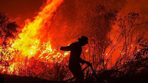Kerosakan akibat kebakaran hutan Indonesia berjumlah $7.1b