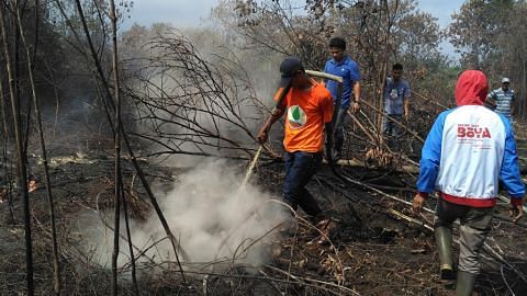 Riau, Sumatera Selatan isytihar darurat akibat kebakaran hutan