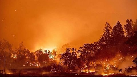 KEBAKARAN LIAR HUTAN DI AMERIKA Tragedi kebakaran hutan yang belum terhapus