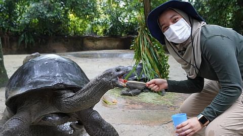 Seronok dapat suap 'atuk' kura-kura makan
