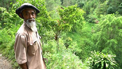 'Mbah' di Jawa ubah bukit gersang jadi menghijau selepas 24 tahun berusaha