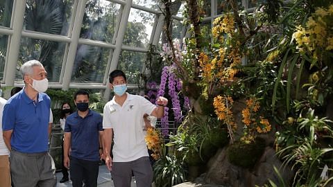 Lebih banyak orkid, tarikan di Taman Orkid Negara