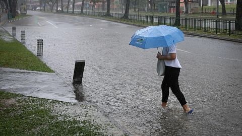 Banjir di Hougang, Punggol akibat hujan lebat; pegawai PUB beri bantuan