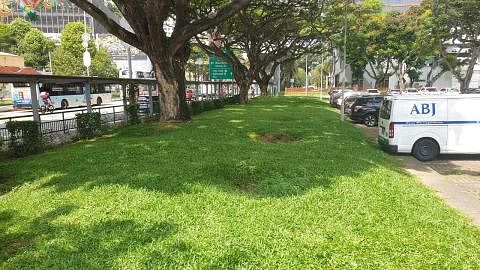 TAPAK BAZAR DIPERLUAS: Kawasan berumput sepanjang laluan pejalan kaki berdekatan tempat letak kereta Tanjong Katong Complex ini akan menempatkan 10 gerai menjual keperluan Raya. Ia merupakan salah satu daripada dua zon baru yang diumumkan Wisma Geyla