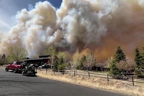 KEMUSNAHAN: Kebakaran hutan menjejas Arizona (gambar), Nebraska dan New Mexico. - Foto REUTERS