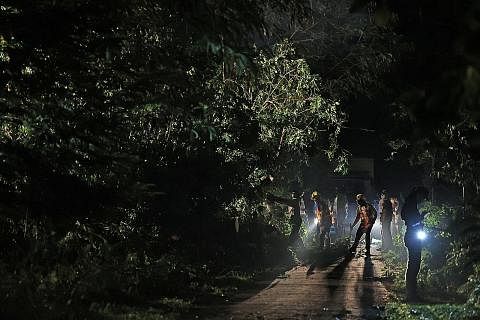 KAJIAN UNTUK BINA LALUAN: Tiga cedera selepas sebatang pokok besar tumbang di perkarangan Kelab Masyarakat Ulu Pandan petang Sabtu lalu.