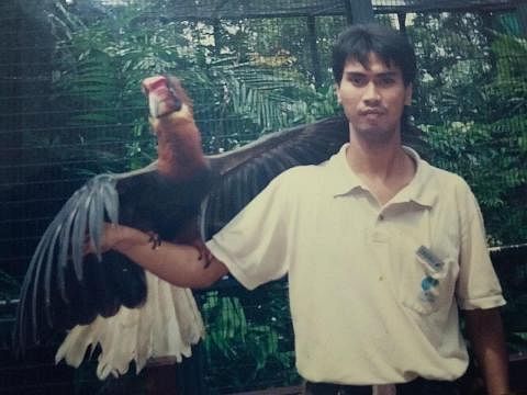 KENANGAN LAMA: Encik Sadali bergambar dengan burung enggang rufous pada 2001. - Foto ihsan SADALI MOHAMED TALI TERLIBAT DALAM PROJEK: Encik Sadali Mohamed Tali, yang bekerja di Taman Burung Jurong sejak 2000, berpeluang terlibat dalam satu projek pem