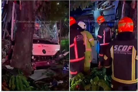 NAHAS: Gambar dan video yang disebar dalam talian menunjukkan bas SBS Transit dengan cermin depan yang pecah selepas ia merempuh pokok. Pemandu bas itu meninggal dunia di tempat kejadian. - FOTO FACEBOOK SINGAPORE ROAD ACCIDENTS.COM