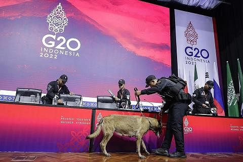 BUAT LIPUTAN: Penolong kepada Editor Berita Harian, Norhaiza Hashim, di pusat media sidang puncak G20. - Foto ihsan NORHAIZA HASHIM PEMERIKSAAN TELITI: Pegawai keselamatan menggunakan seekor anjing bagi memeriksa kawasan podium di salah satu lokasi S
