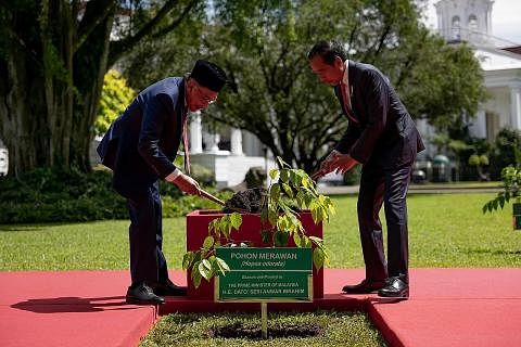 KUKUH HUBUNGAN: Presiden Jokowi dan Datuk Anwar menanam pokok Merawan di halaman belakang Istana Bogor. - FACEBOOK ANWAR IBRAHIM