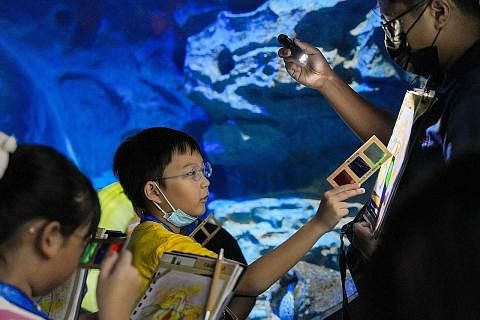 MELAWAT DAN MENYIASAT: 'Program Detektif Laut Junior' membawa kanak-kanak lakukan lawatan 'penyiasatan' dua jam di S.E.A. Aquarium merungkai misteri haiwan marin. - Foto Resorts World Sentosa