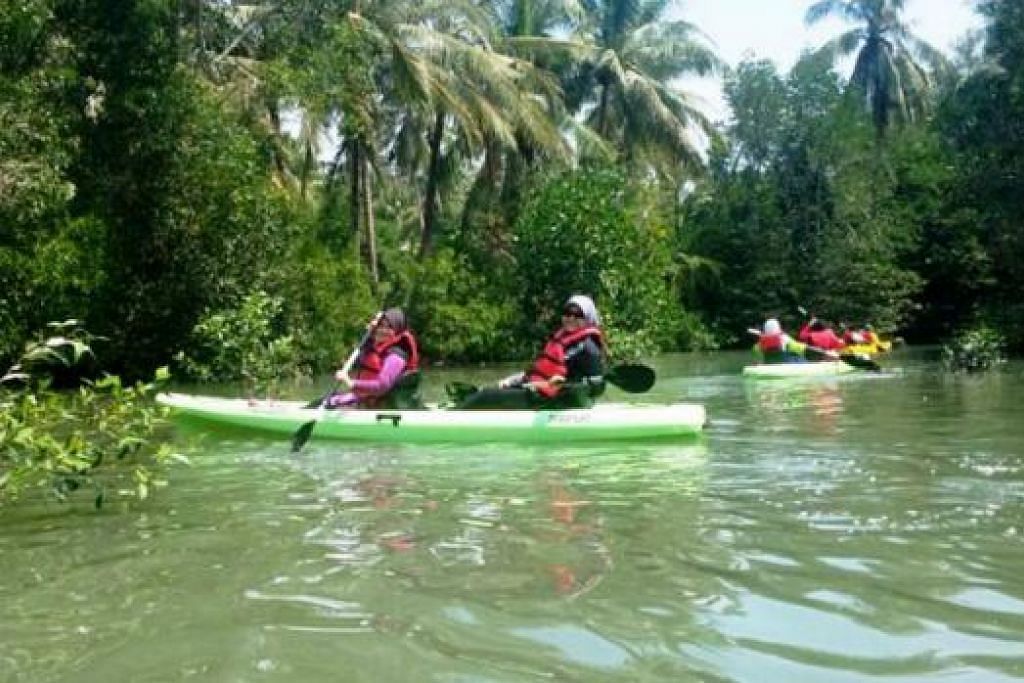TENANG TAPI MENYERONOKKAN: Para peserta berkayak menyusur kawasan berpaya di Pulau Ubin. - Foto ASIAN DETOURS PTE LTD 
