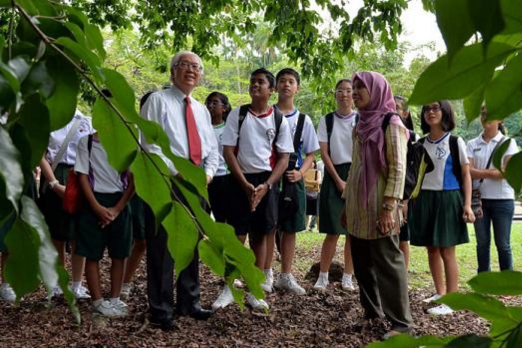 POKOK WARISAN: Para pelajar dan guru Sekolah Menengah Kranji berpeluang menyertai Presiden Tony Tan meninjau pemasangan sistem sokongan bagi pokok tembusu di Kebun Bunga Singapura semalam. - Foto M.O SALLEH
