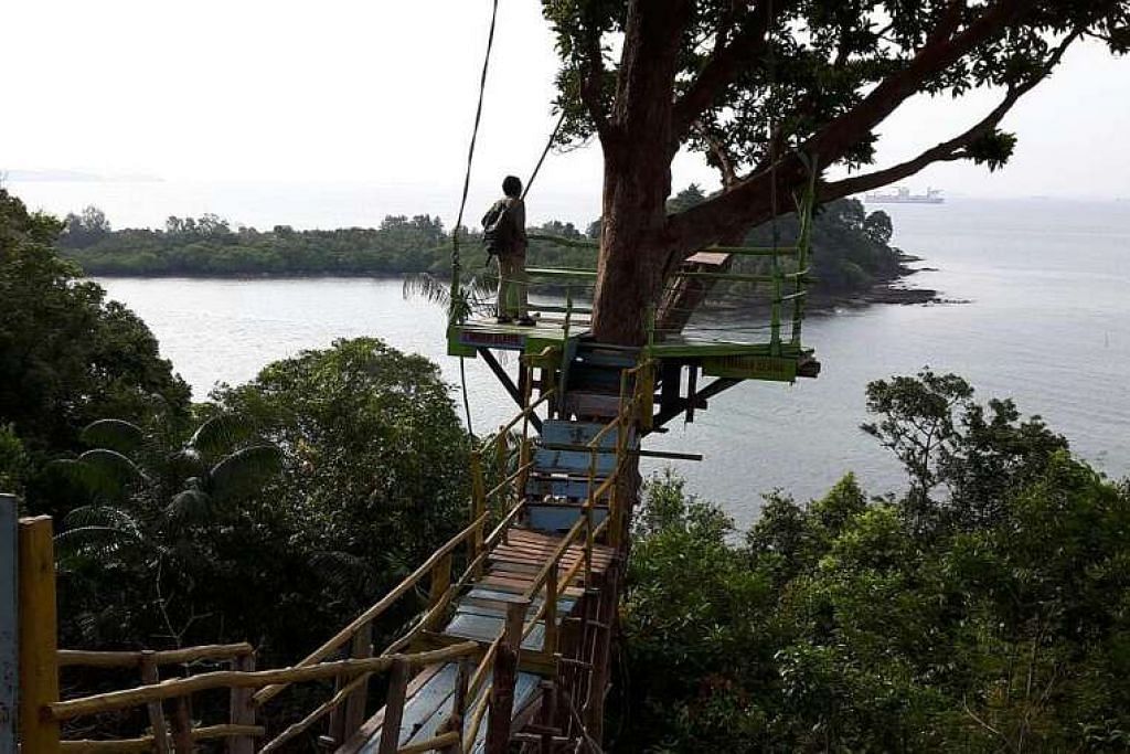 Sel Militan Rancang Serang Singapura Dari Bukit Di Batam Berita Setempat Beritaharian Sg