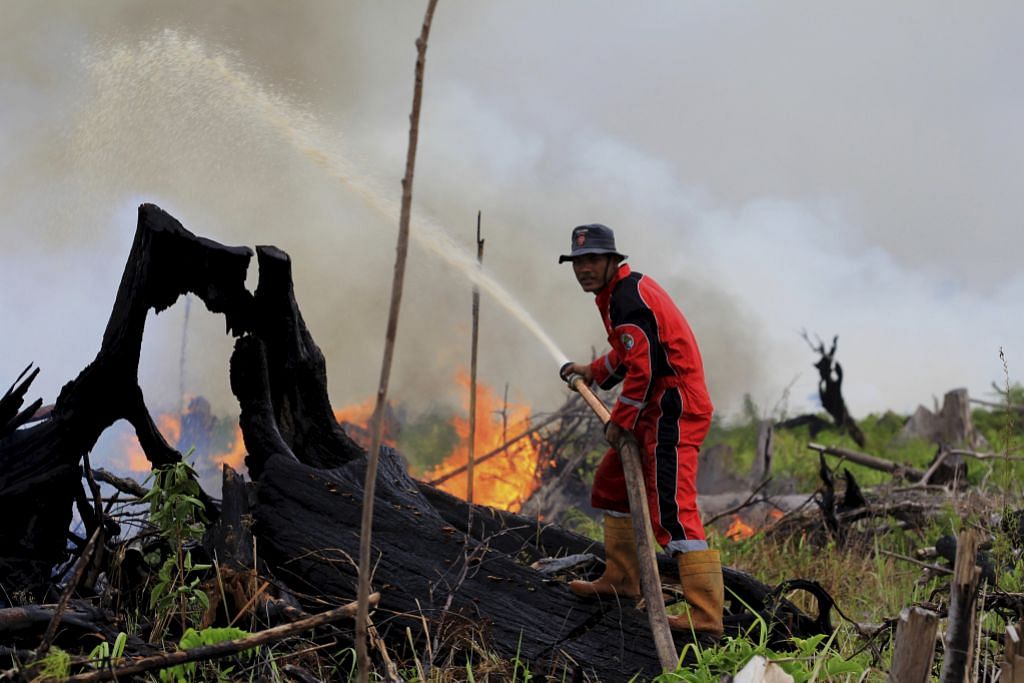 Riau isytihar darurat susuli kebakaran hutan di Sumatera