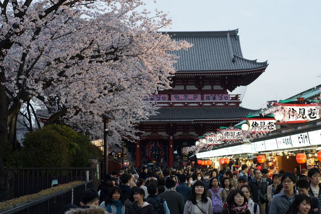 KEMBARA Lambaian Sakura