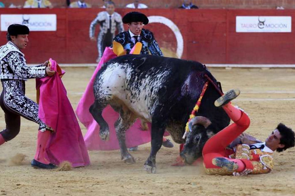 Matador terbunuh dirodok lembu