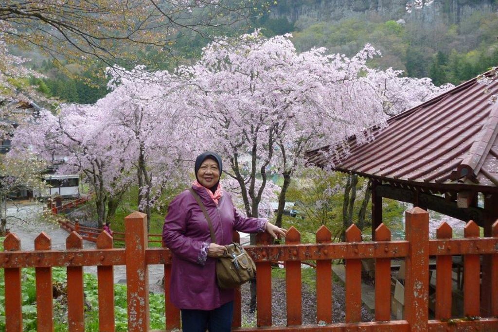Kirimkan pengalaman melancong anda Indahnya kembang Sakura kota Matsumoto