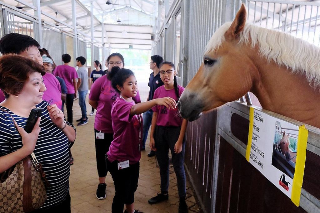 Terapi 'belajar' dengan kuda