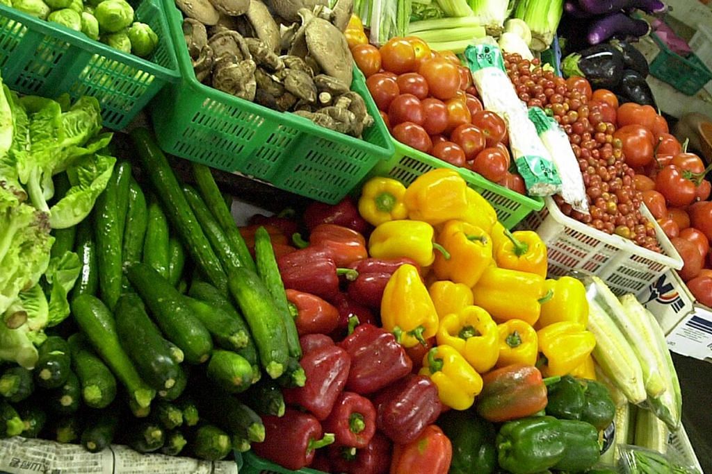 Sayur berpotensi kurangi risiko penyakit kronik dan kegemukan