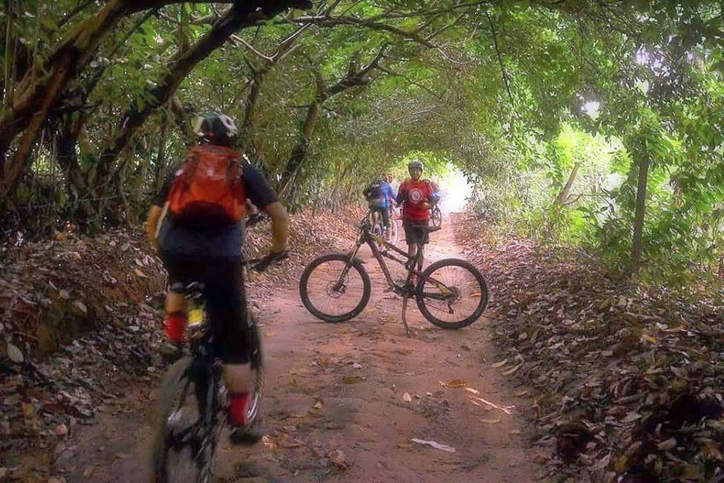 Rentas desa, hutan dengan basikal