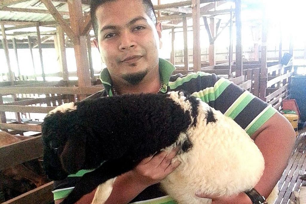 Anak Singapura buka ladang kambing di Johor selepas raih ilmu gembala