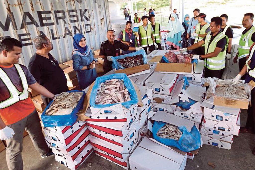 Kontena berisi muatan daging babi dan daging kambing dirampas di Johor