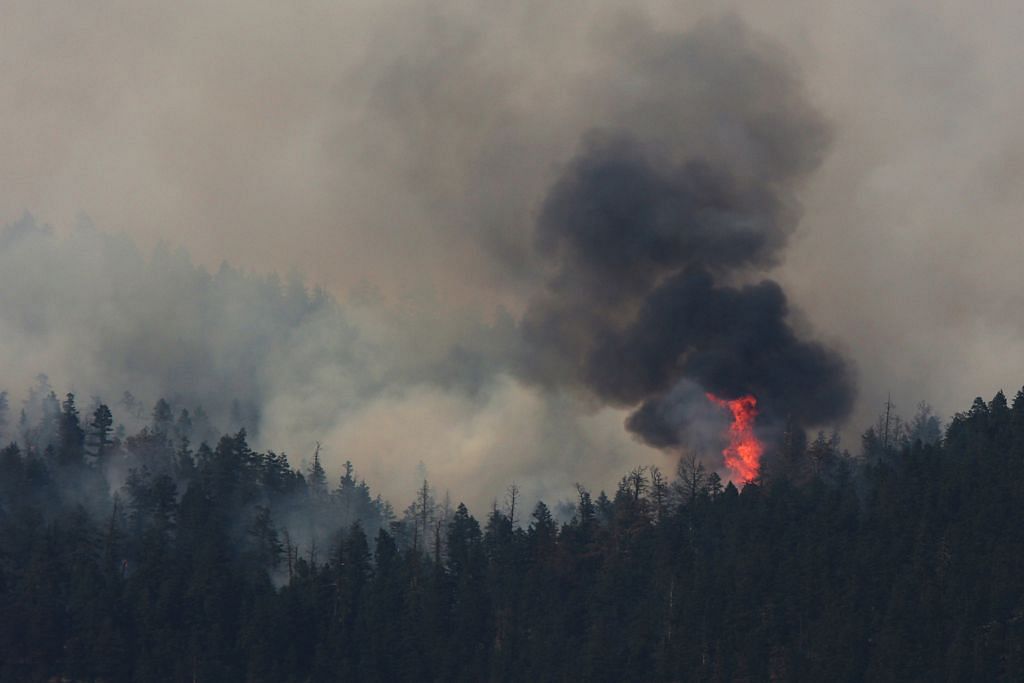 British Columbia lanjut darurat ekoran kebakaran