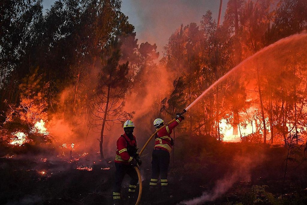 Kebakaran hutan di Portugal putuskan hubungan kampung