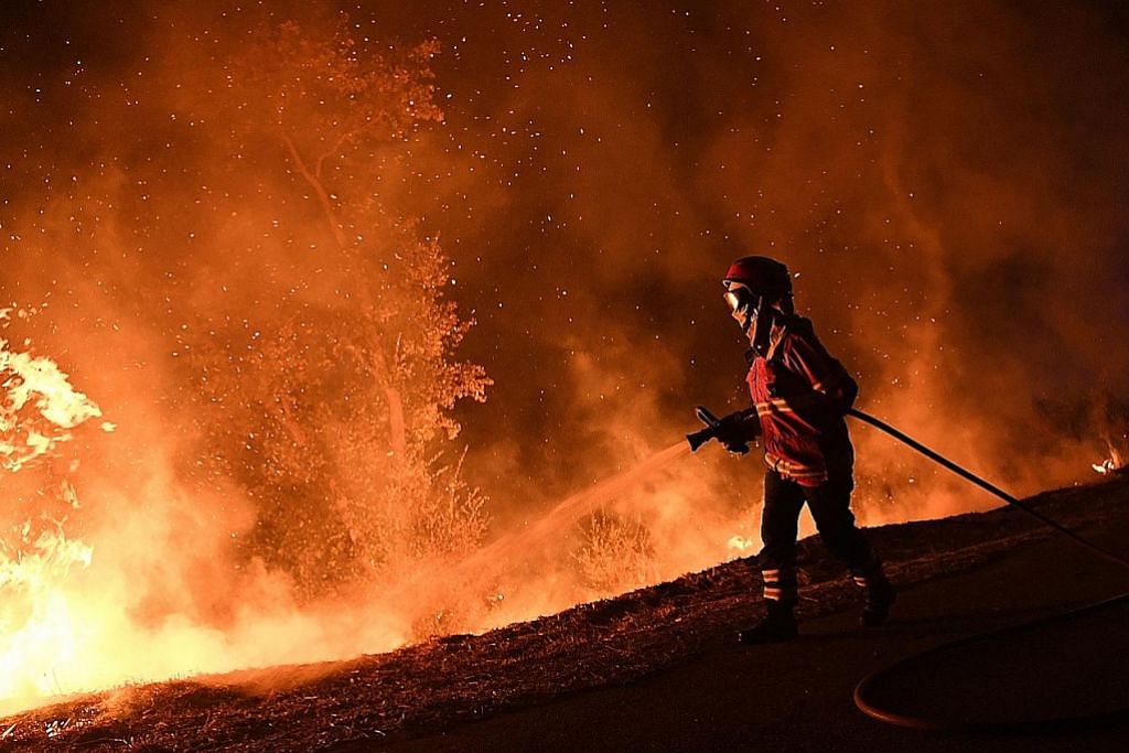 Lebih 30 maut dalam kebakaran hutan di Portugal
