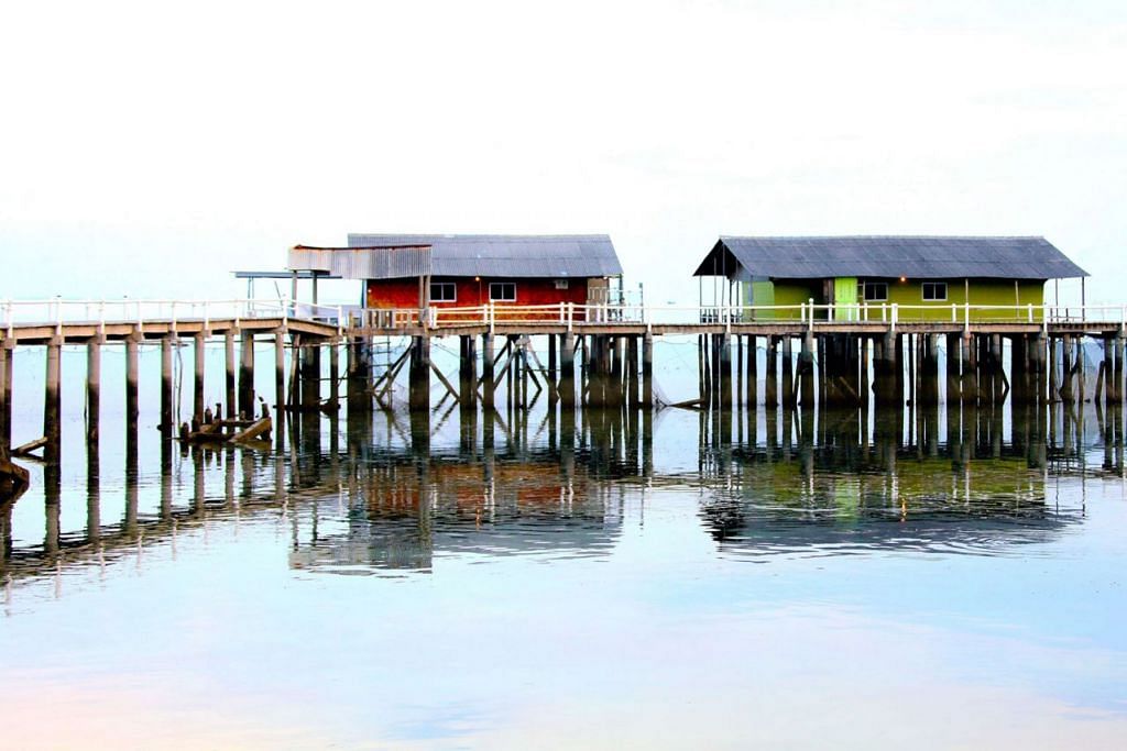 Tarikan Memancing Di Kelong Tanjung Pinang Berita Kembara