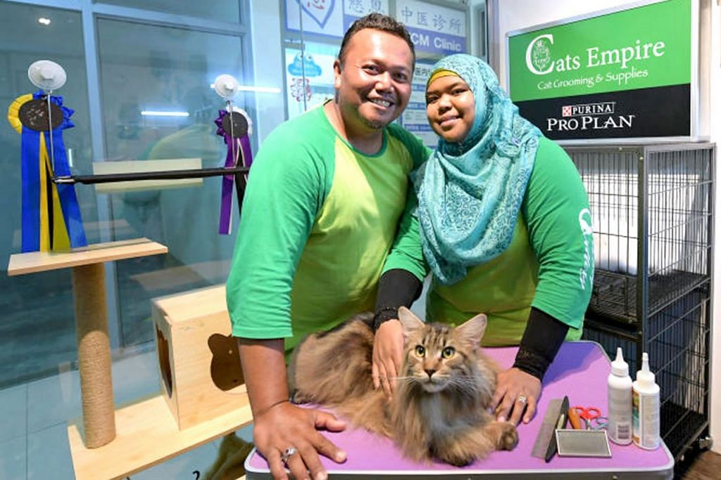 Pasangan tawar khidmat penjagaan kucing, Berita Ekonomi u0026 Kerja 