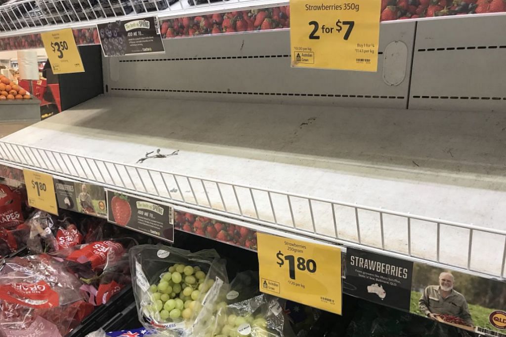 Australia PM Scott Morrison says strawberry sabotage akin to 'terrorism'