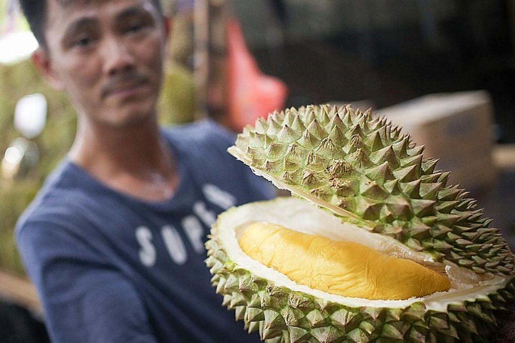 9400 Koleksi Hantu Durian Terbaik