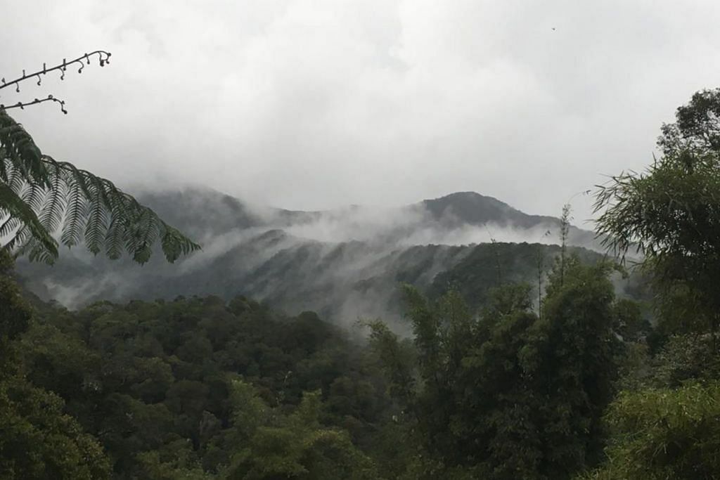 Latih anak mendaki gunung Berita Kembara BeritaHarian sg